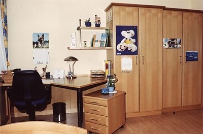 Schreibtisch, Rollschrank,
      Wäscheschränke