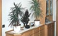 Anrichte mit Etagere und Vitrine