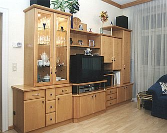 Schrankverbau mit Vitrine
         und TV-Nische