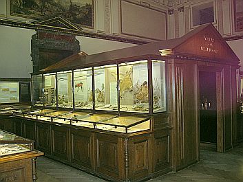 Schauvitrinen